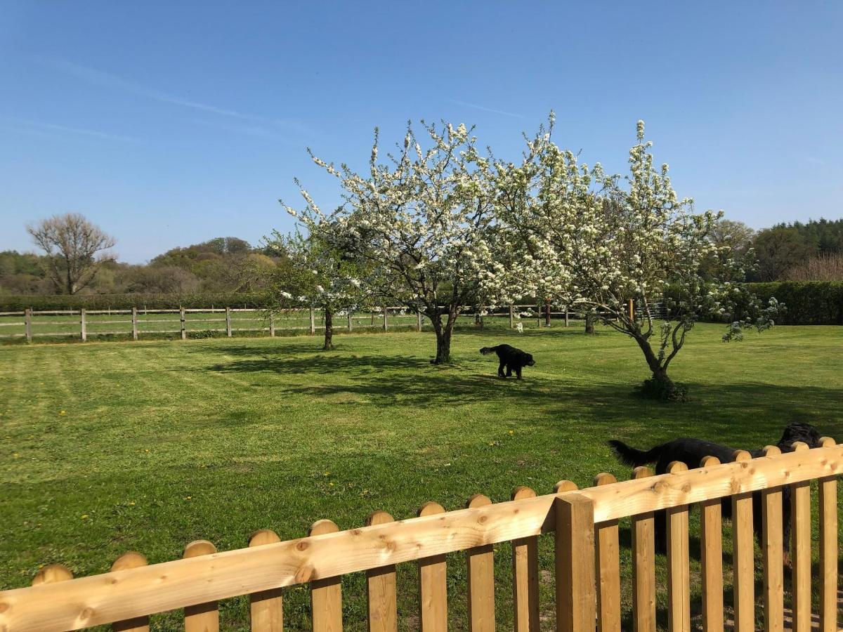 1 Barn Cottages Whitchurch  Luaran gambar